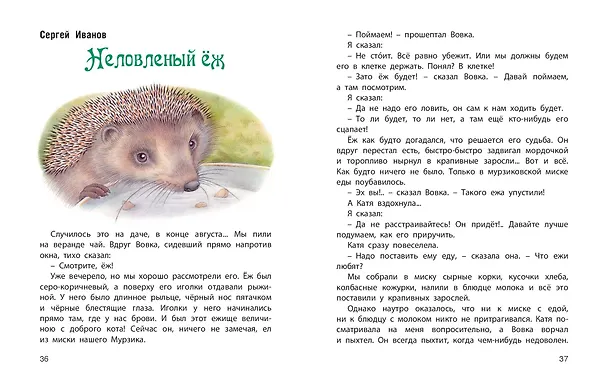 Книга Колючая семейка: Рассказы русских писателей (Саша Чёрный) — 3