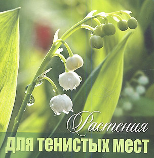 Растения для тенистых мест — 2352735 — 1