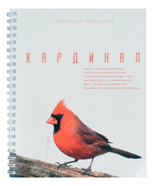 Тетрадь общая «Красивые птицы», 80 листов в клетку, А5, в ассортименте - Listoff 3040168 — 3
