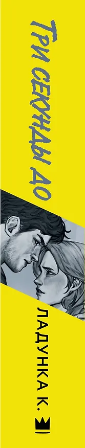 Книга Три секунды до (Ксения Ладунка) — 3