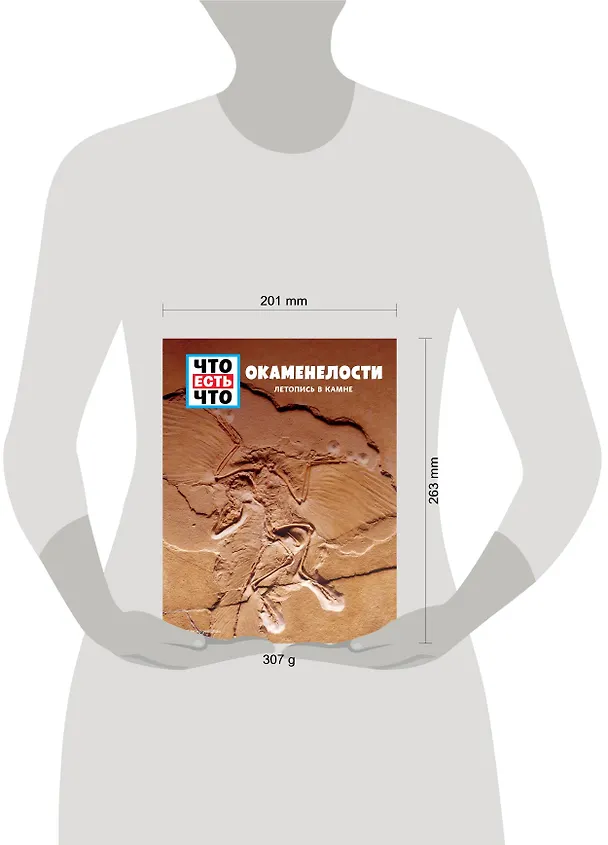 Книга ОКАМЕНЕЛОСТИ. Летопись в камне (Манфред Баур) — 5