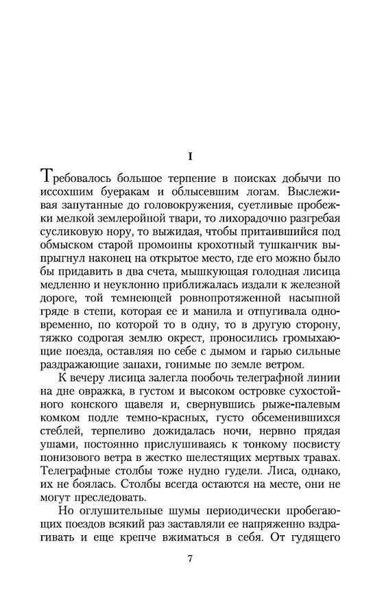 Книга И дольше века длится день... (Чингиз Айтматов) — 10