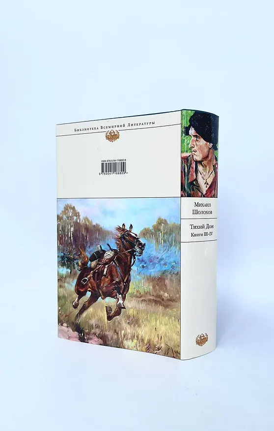 Книга Тихий Дон. Книги III-IV (Михаил Шолохов) — 11
