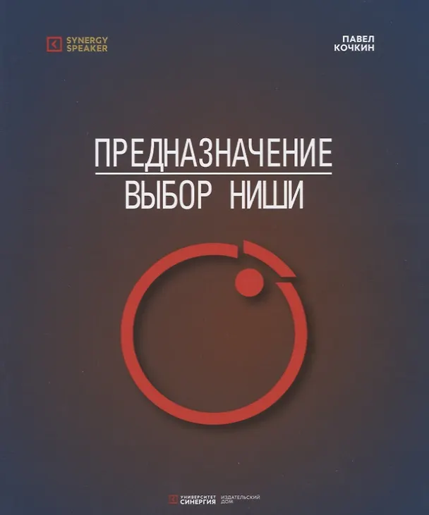 Книга Предназначение: Выбор ниши (Павел Кочкин) — 1