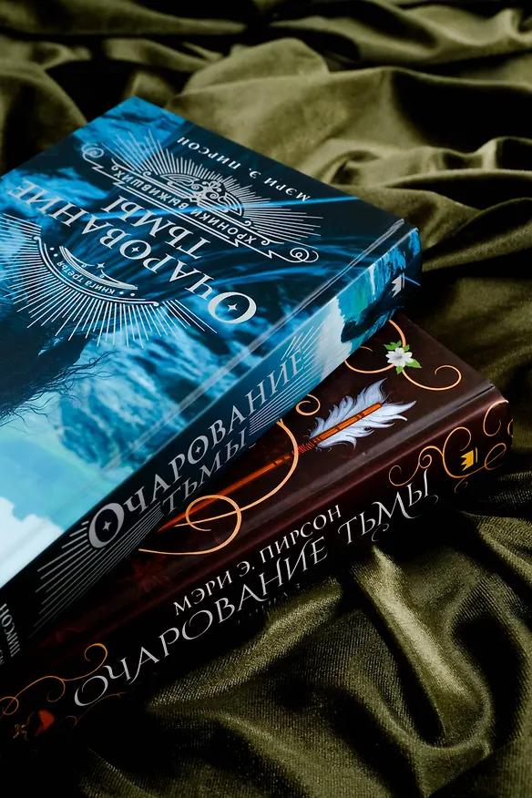 Книга Очарование тьмы (Мэри Э. Пирсон) — 10