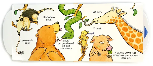 Книга Покажи язык! (Мэтью Ван Флит) — 5