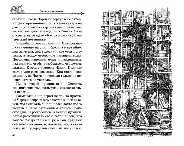 Книга Дом с характером (Диана Джонс) — 10