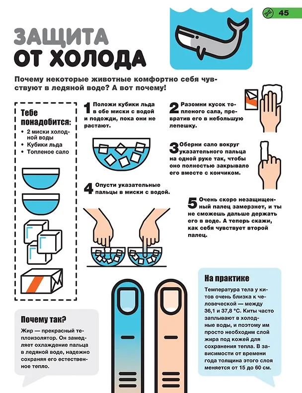 Книга Простые эксперименты (Роб Битти) — 6