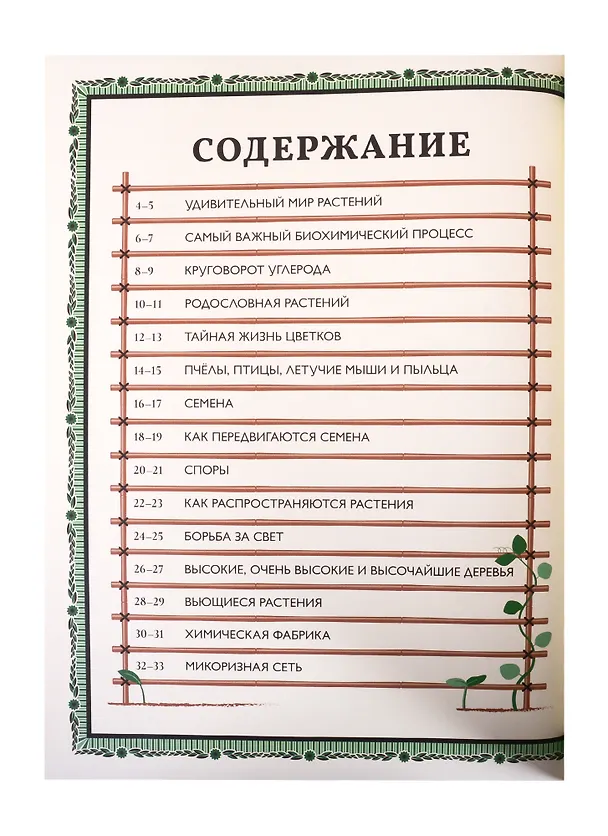 Книга Мир растений (Мартин Дженкинс) — 2