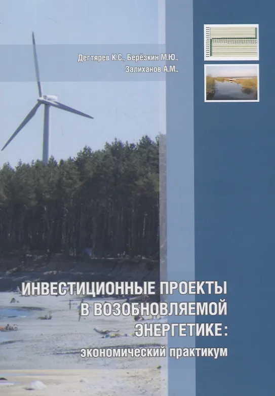 Книга Инвестиционные проекты в возобновляемой энергетике: экономический практикум (Кирилл Дегтярев, Михаил Березкин, Алим Залиханов) — 1