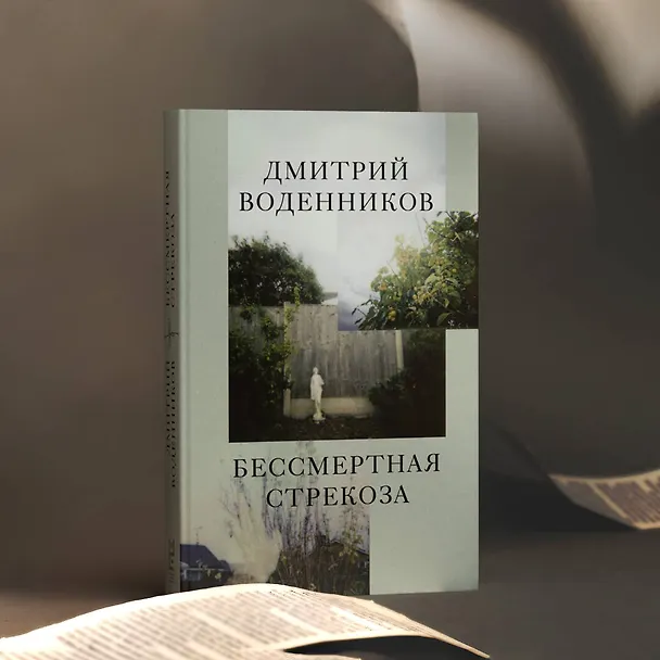 Книга Бессмертная стрекоза (Дмитрий Воденников) — 9