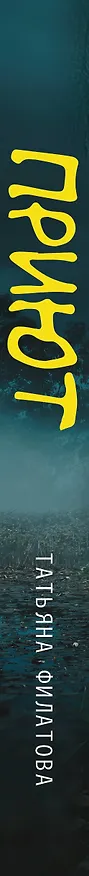 Книга Приют (Татьяна Филатова) — 3