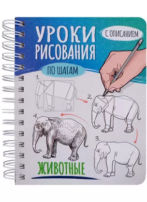 СКЕТЧБУК А5 УРОКИ РИСОВАНИЯ ПО ШАГАМ. ЖИВОТНЫЕ — 2905534 — 1