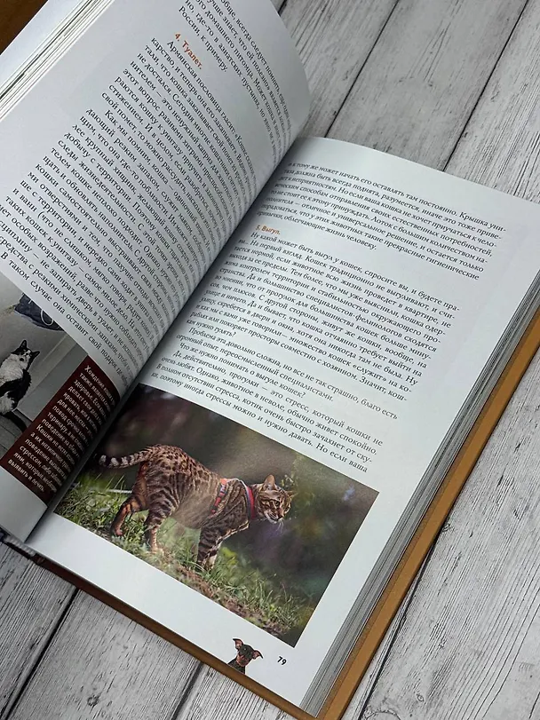 Книга Домашние животные. Популярный иллюстрированный гид (Ос Арутюнян) — 6