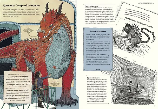 Книга Драконы. Удивительные создания со всего света (Томислав Томич) — 6