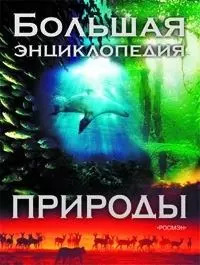 Большая энциклопедия природы — 2071501 — 1