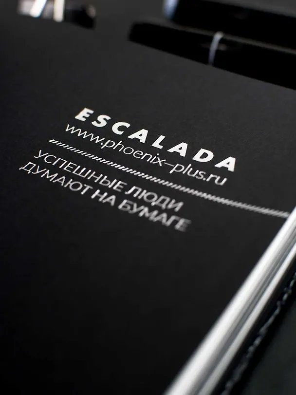Ежедневник недатированный «Аллигатор» А5+, чёрный, 160 листов, кожзам, Escalada 3054996 — 10