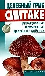 Целебный гриб сиитаке — 2141066 — 1