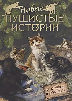 Новые пушистые истории о котах и кошках — 2870848 — 1