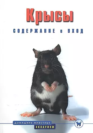 Крысы. Содержание и уход (цвет) — 2039157 — 1