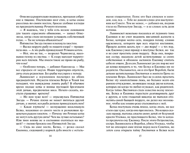 Книга Четвертый оруженосец (Эрин Хантер) — 7