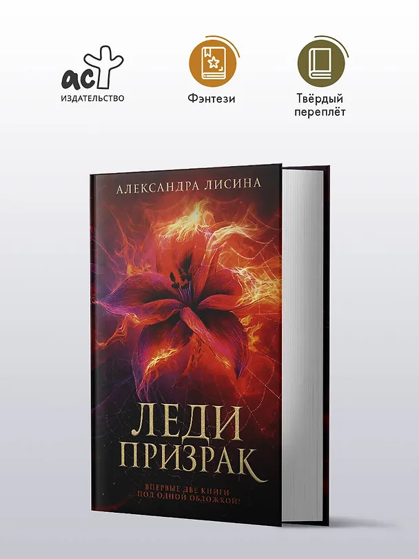 Книга Леди-призрак: Вакансия для призрака, Призрак на задании (Александра Лисина) — 6