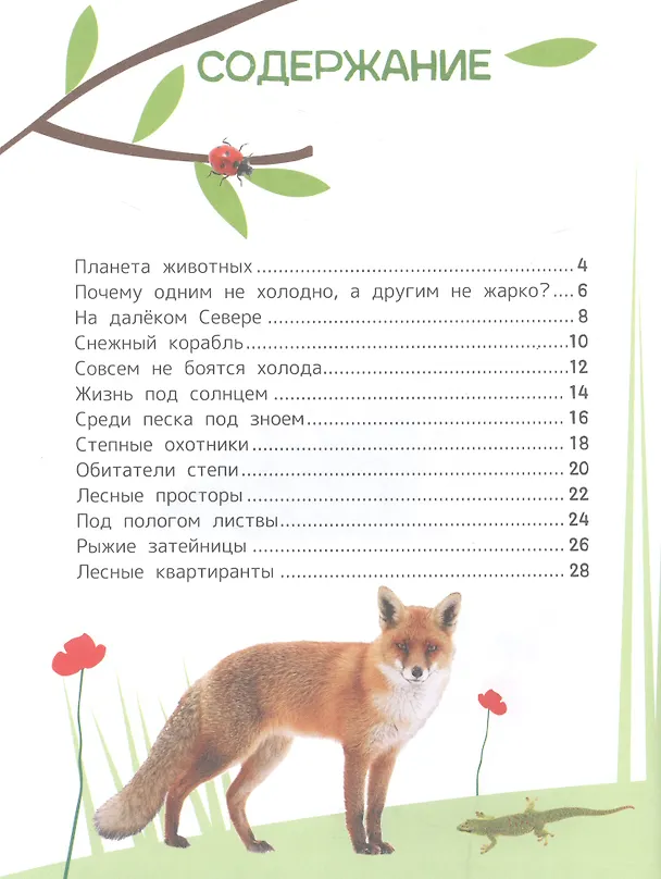 Книга Животные. Энциклопедия для первого чтения с крупными буквами (Лариса Клюшник, Светлана Гальцева) — 2