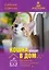 Кошка входит в дом. Содержание кошки в условиях квартиры — 3159528 — 1