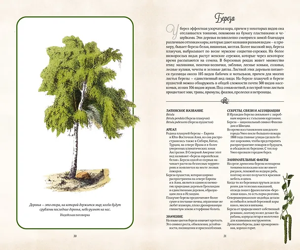 Книга Тайный язык деревьев (Джилл Дэвис) — 6