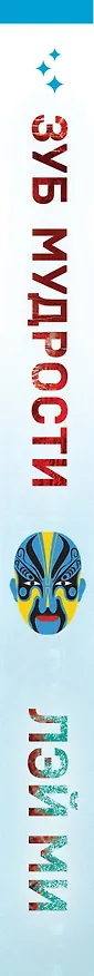 Книга Зуб мудрости (Лэй Ми) — 4