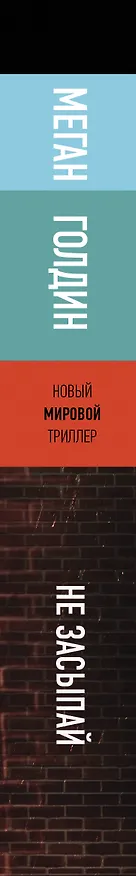 Книга Не засыпай (Меган Голдин) — 3