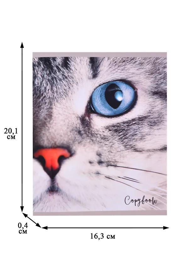 Тетрадь общая «Cat eye» в ассортименте, 48 листов в клетку, A5 - Listoff 2883047 — 2