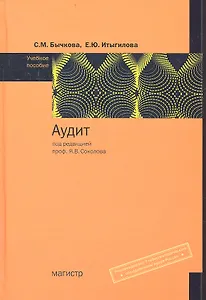 Аудит Уч. пос. (Бычкова)