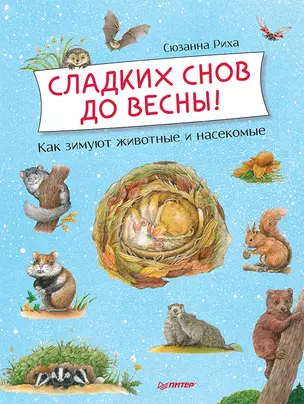 Сладких снов до весны! Как зимуют животные и насекомые — 2760903 — 1