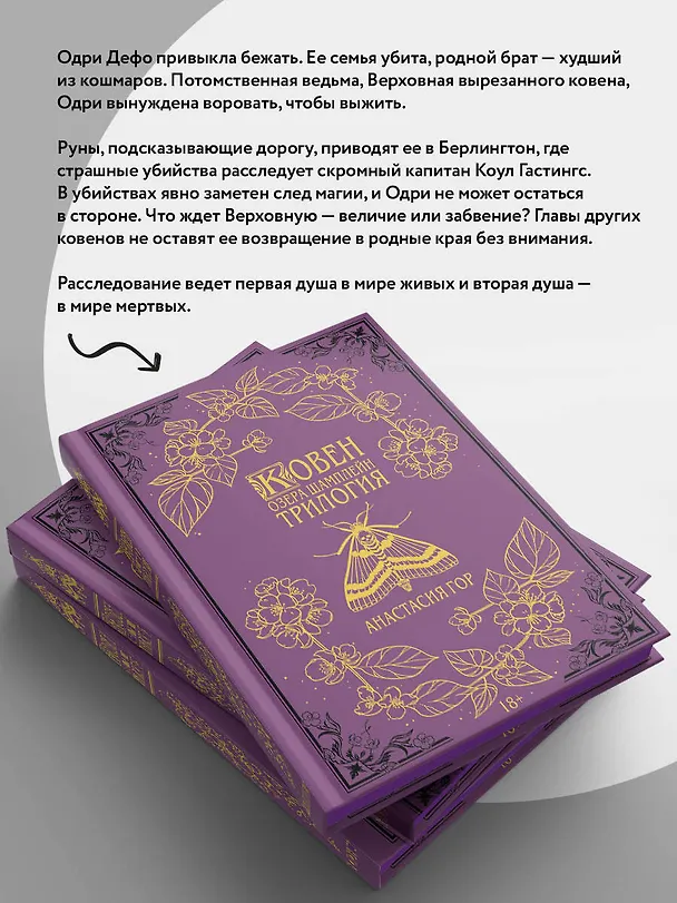 Книга Ковен озера Шамплейн. Трилогия (Подарочное издание) (Анастасия Гор) — 9