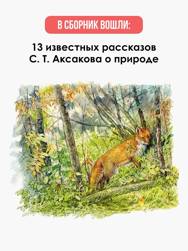 Книга Рассказы о природе (Сергей Аксаков) — 6