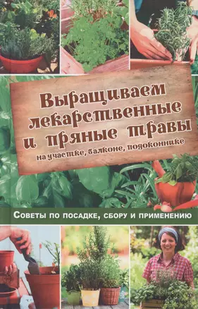 Выращиваем лекарственные и пряные травы на участке, балконе, подоконнике — 2619666 — 1