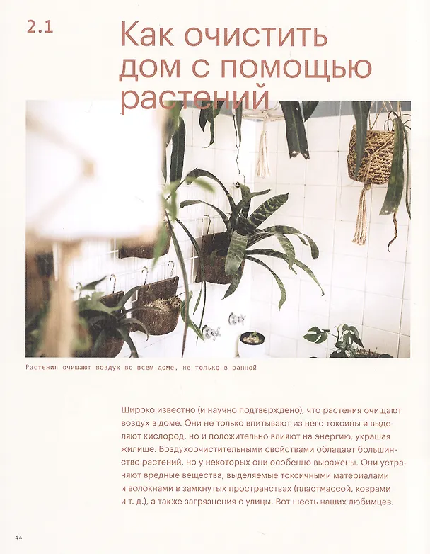 Книга Окей, джунгли! Счастливая жизнь с растениями (Игорь Йосифович) — 7