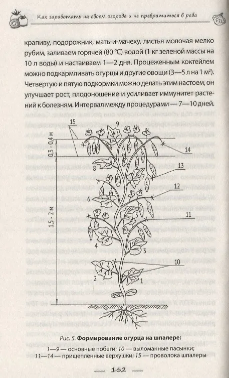 Книга Как заработать на своем огороде и не превратиться в раба (Василий Тыбель) — 3