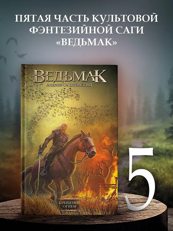 Книга Крещение огнем (Анджей Сапковский) — 5