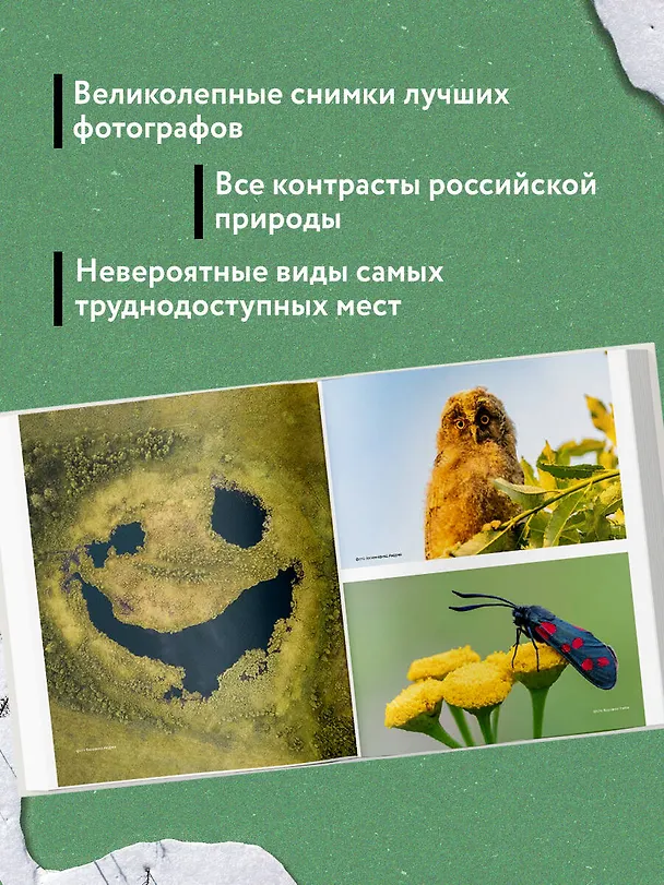 Книга Неповторимая Россия. Природное наследие нашей страны в фотографиях путешественников Nature Photo Team () — 7