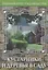 Кустарники и деревья в саду, или Дизайн сада с древесными растениями — 2091939 — 1