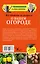 Все ответы на вопросы о вашем огороде — 2501476 — 2