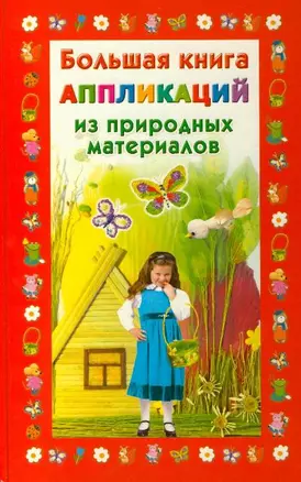 Большая книга аппликаций из природных материалов — 2214865 — 1