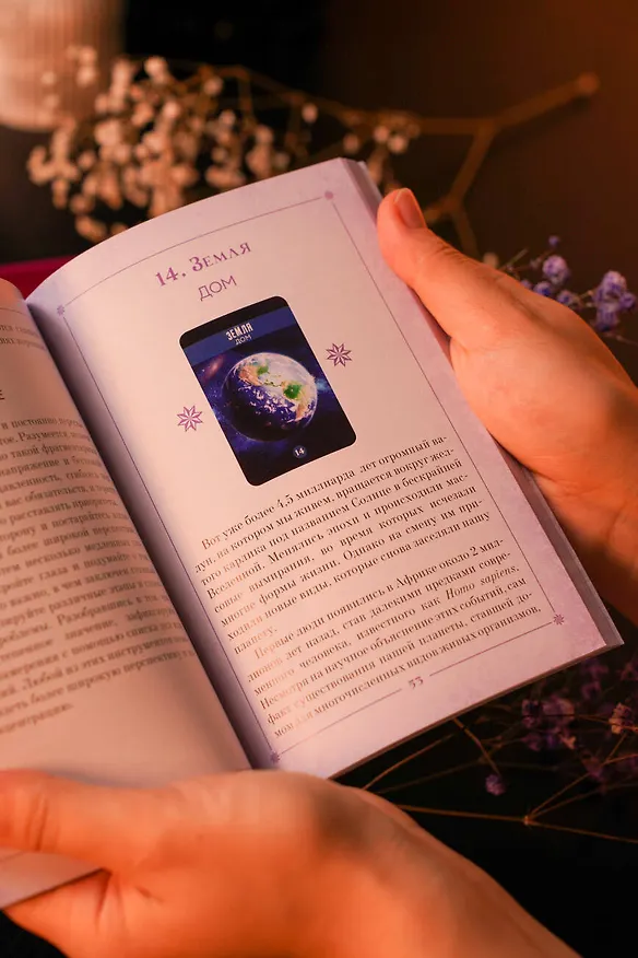 Книга Сила природы. Оракул. 44 карты и руководство. Таро, гадания и знаки (Стивен Д. Фармер) — 9