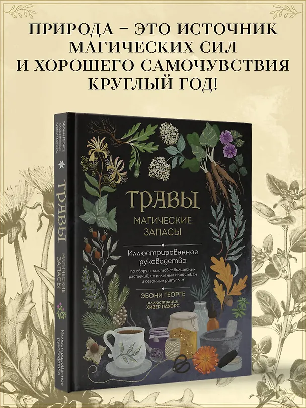 Книга Травы. Магические запасы. Иллюстрированное руководство по сбору и заготовке волшебных растений, их полезным свойствам и сезонным ритуалам (Эбони Георге) — 8