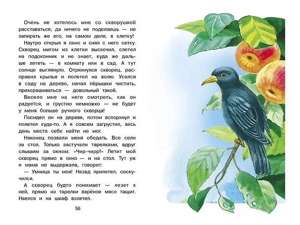 Книга Лесной голосок (Георгий Скребицкий) — 5