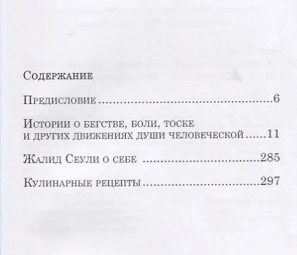 Книга И плывут куда-то корабли из Танжера (Жалид Сеули) — 2