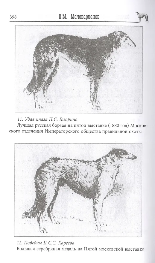 Книга Записки псового охотника (Дмитрий Голицын) — 3