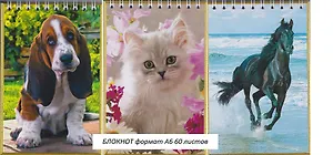 Блокнот, "Животные, Буквоед, А6, 60 листов, на спирали, в ассортименте